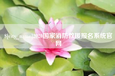石狮2020国家消防救援报名系统官网