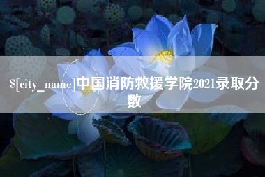 石狮中国消防救援学院2021录取分数