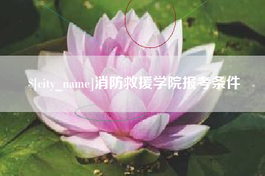 石狮消防救援学院报考条件