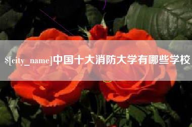 石狮中国十大消防大学有哪些学校