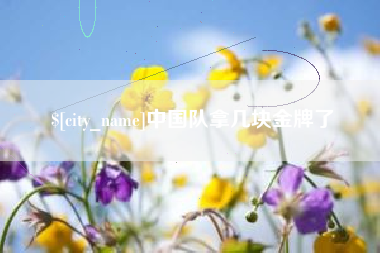 石狮中国队拿几块金牌了