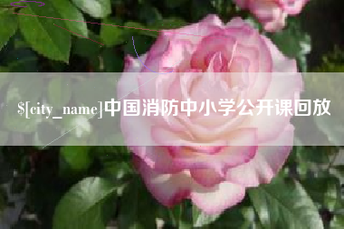 石狮中国消防中小学公开课回放