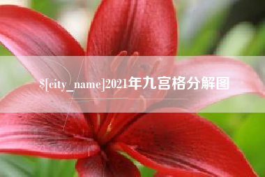 石狮2021年九宫格分解图