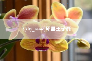 石狮邱县王子磊