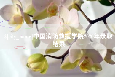 石狮中国消防救援学院2020年录取结果