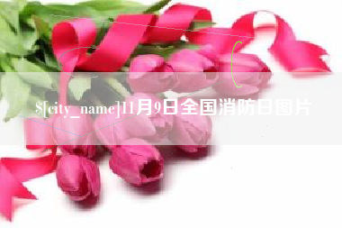 石狮11月9日全国消防日图片