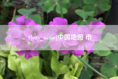 石狮中国地图 市