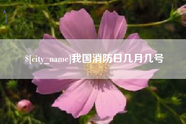 石狮我国消防日几月几号
