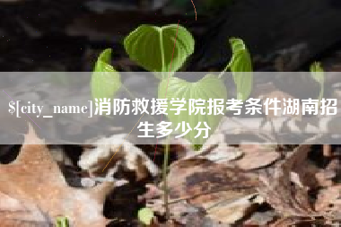 石狮消防救援学院报考条件湖南招生多少分