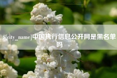 石狮中国执行信息公开网是黑名单吗