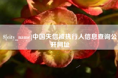 石狮中国失信被执行人信息查询公开网址