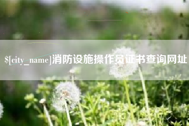 石狮消防设施操作员证书查询网址