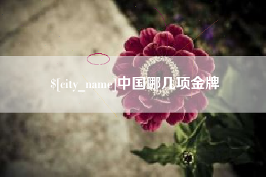 石狮中国哪几项金牌