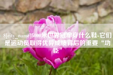 石狮5000米世界冠军穿什么鞋-它们是运动员取得优异成绩背后的重要“功臣”