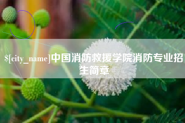 石狮中国消防救援学院消防专业招生简章