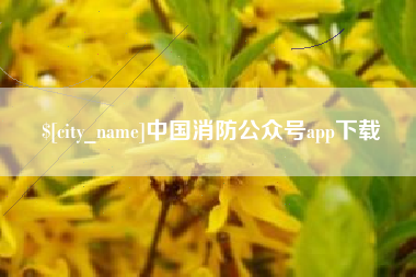 石狮中国消防公众号app下载