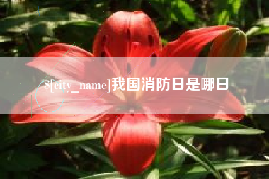 石狮我国消防日是哪日