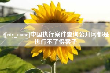 石狮中国执行案件查询公开网都是执行不了得案子