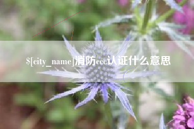 石狮消防ccc认证什么意思