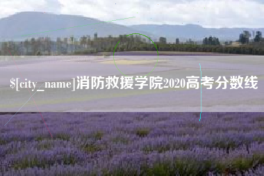 石狮消防救援学院2020高考分数线