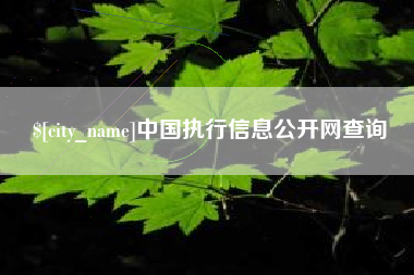 石狮中国执行信息公开网查询