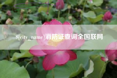 石狮消防证查询全国联网