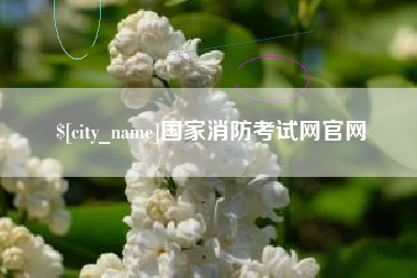 石狮国家消防考试网官网