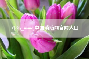 石狮中国消防网官网入口