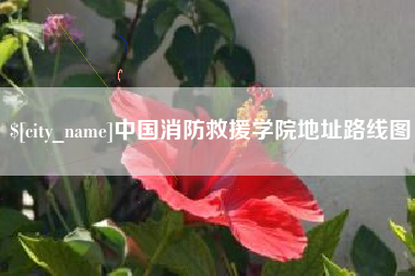 石狮中国消防救援学院地址路线图