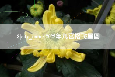 石狮2022年九宫格飞星图