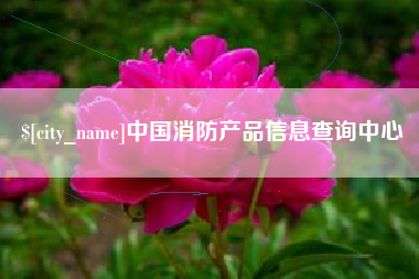 石狮中国消防产品信息查询中心