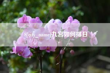 石狮九宫如何排日