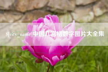 石狮中国九宫格数字图片大全集