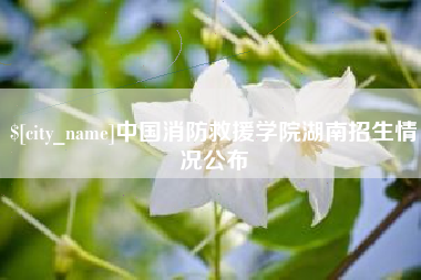 石狮中国消防救援学院湖南招生情况公布