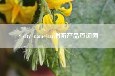 石狮ccc消防产品查询网