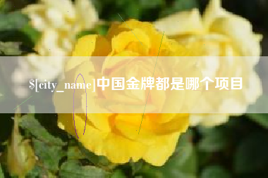 石狮中国金牌都是哪个项目