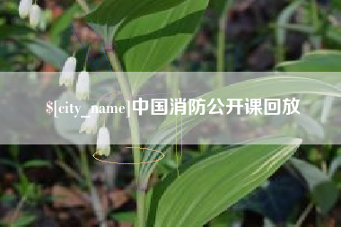 石狮中国消防公开课回放