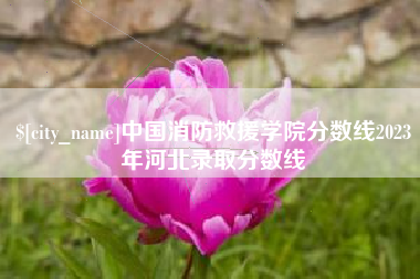 石狮中国消防救援学院分数线2023年河北录取分数线
