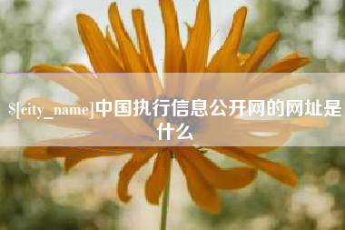 石狮中国执行信息公开网的网址是什么