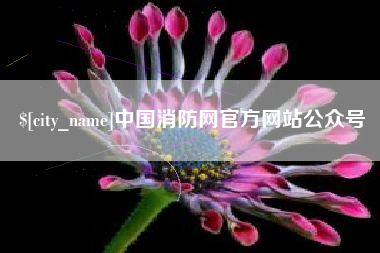 石狮中国消防网官方网站公众号