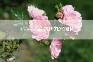石狮古代九宫图片