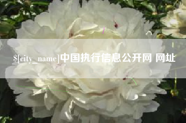 石狮中国执行信息公开网 网址