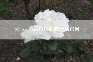 石狮中国消防产品官网