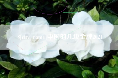 石狮中国的几块金牌2021