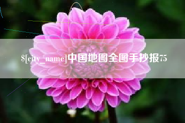 石狮中国地图全图手抄报75