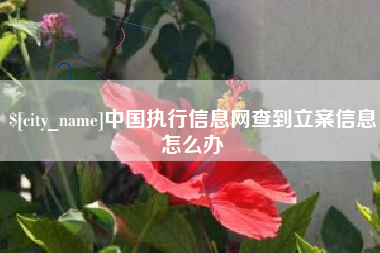 石狮中国执行信息网查到立案信息怎么办