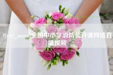 石狮全国中小学消防公开课网络直播视频