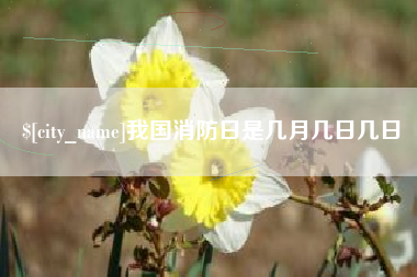 石狮我国消防日是几月几日几日