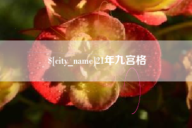 石狮21年九宫格