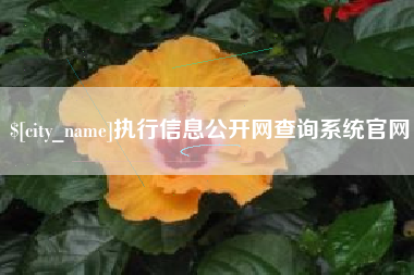 石狮执行信息公开网查询系统官网